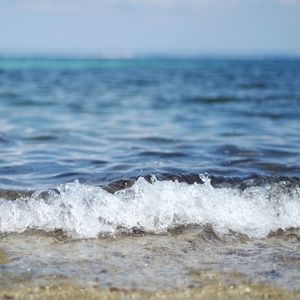 Meet your Posher, Pamela